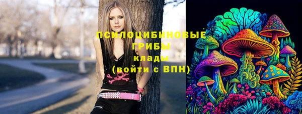 mdpv Долгопрудный