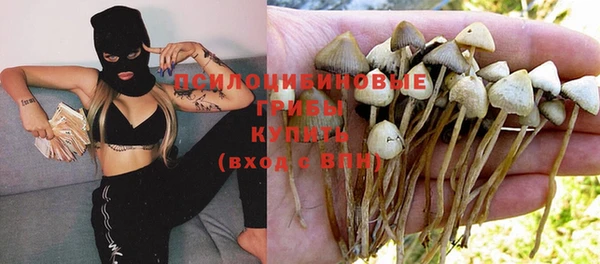 MDMA Белокуриха