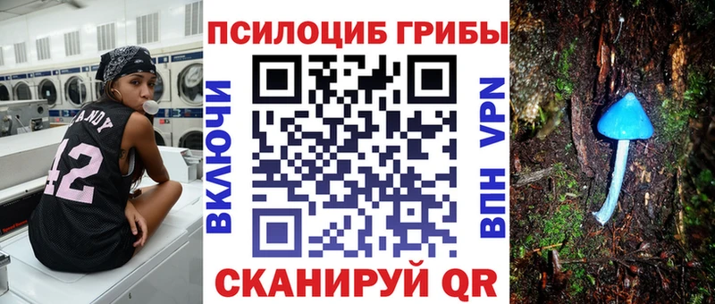 Псилоцибиновые грибы Psilocybine cubensis  ссылка на мегу зеркало  Болотное 